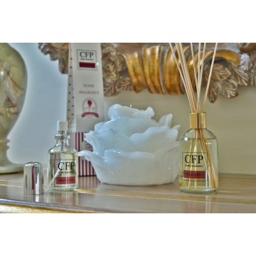 Diffusore con Midollini +...